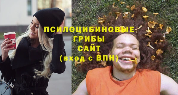 гидропоника Лабытнанги