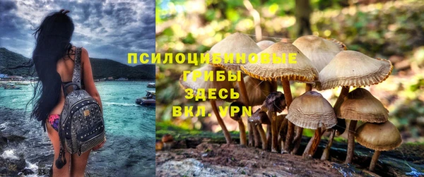 гидропоника Лабытнанги