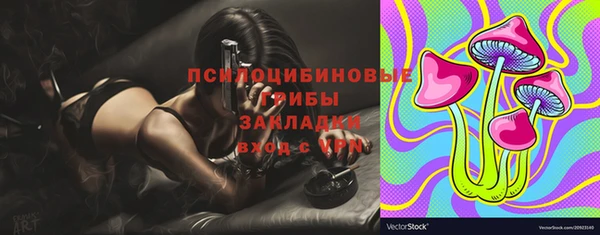 скорость Ладушкин